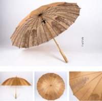 Literary umbrella