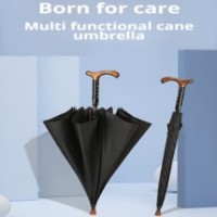 Four. Umbrella on crutches