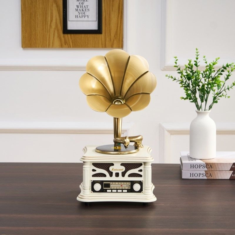 Mini Gramophone 909